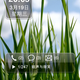 Image for article titled Meizu MiniOne UI Updated